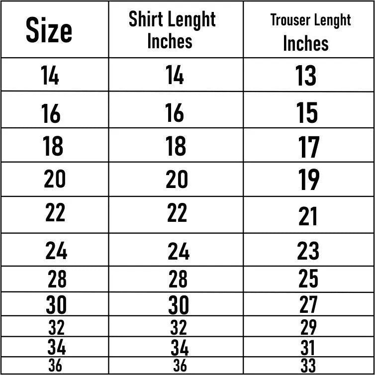 Fancy Wedding Party 2 Pcs Girl's Raw Silk Printed Shirt And Trouser Suit🛍